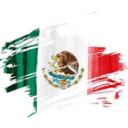 Mexico Support Services
