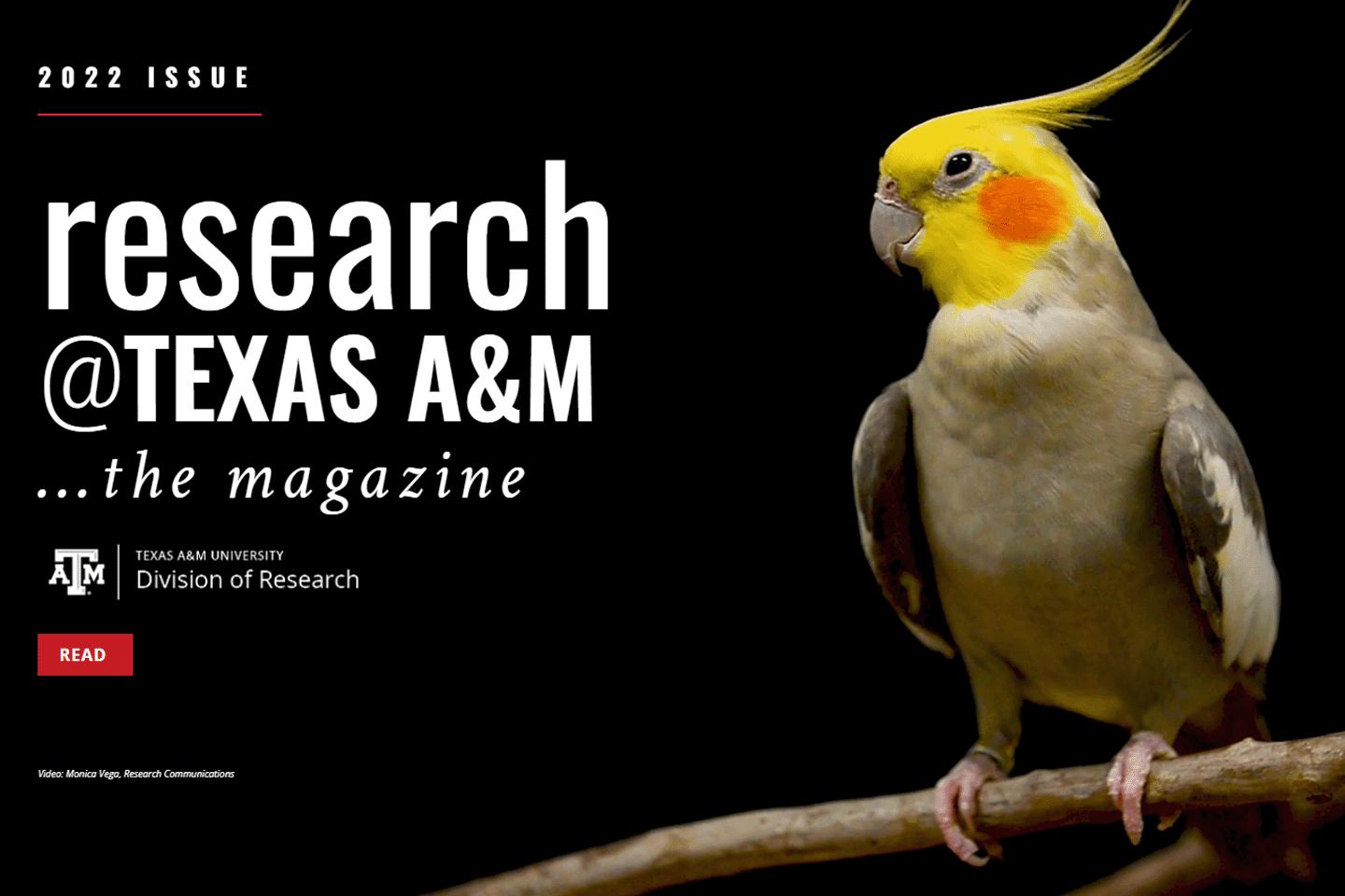 Research at TAMU - 2022 Magazine Issue