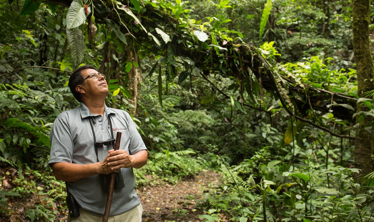 Where Rainforest Meets Research