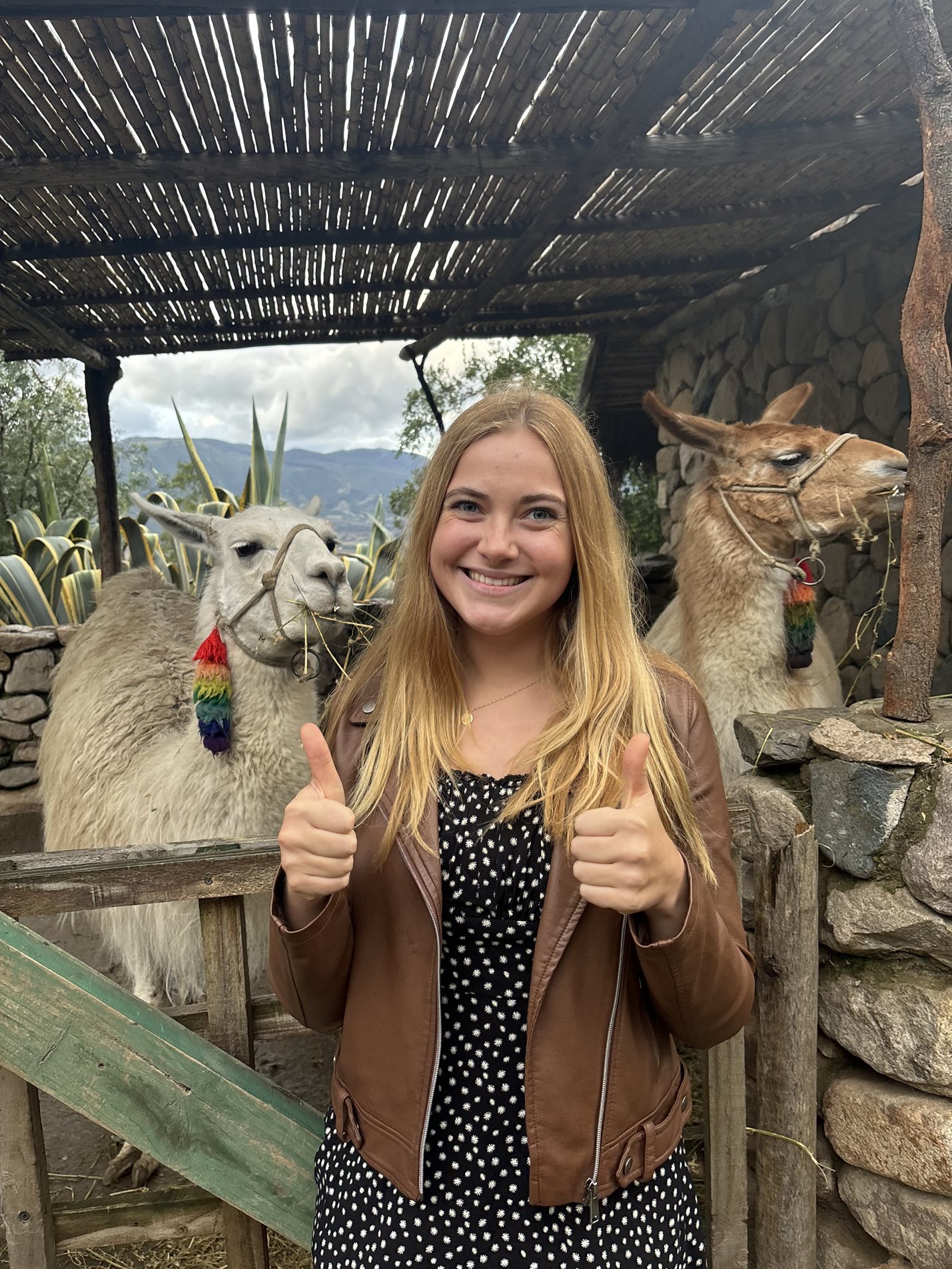 A Woman giving two thumbs up in front of llamas.