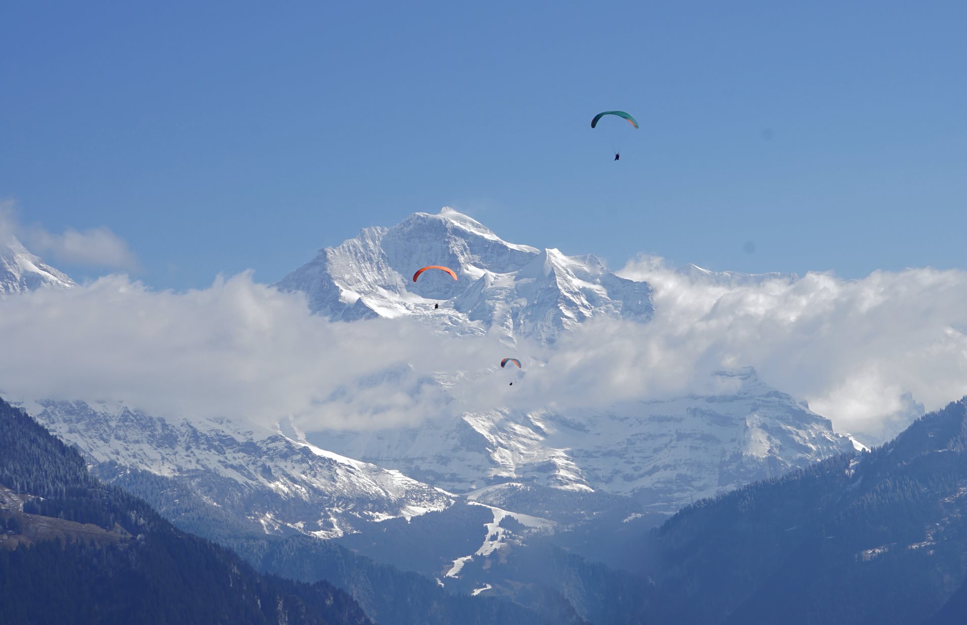 Parachuters in front of a a snowy mountain